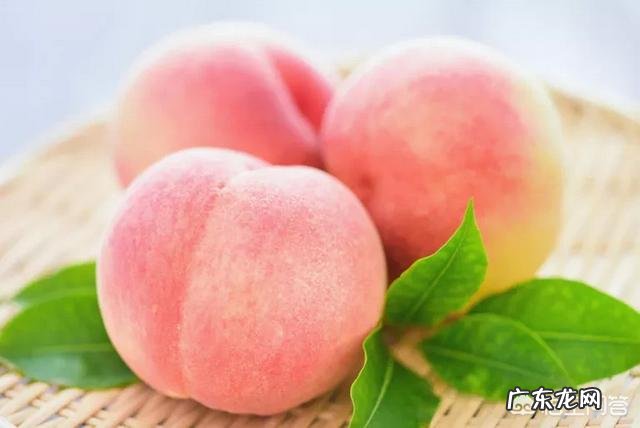 理论上来说，是否存在易瘦体质？