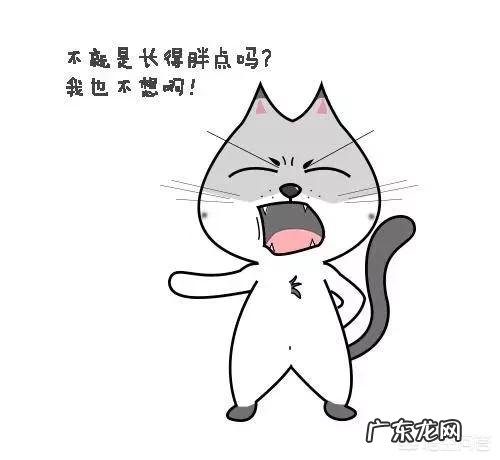 理论上来说，是否存在易瘦体质？