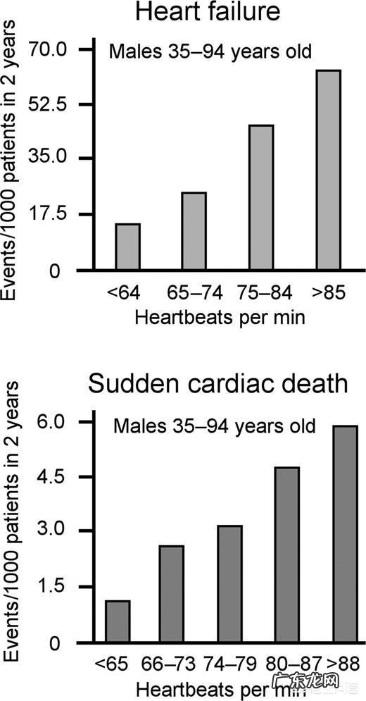 有人说心率快的人寿命短，是真的吗？