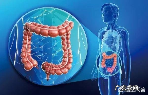 大便又细又稀是怎么回事?
