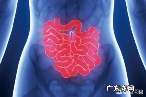 大便又细又稀是怎么回事?