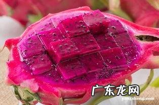 糖尿病人可以吃火龙果吗?