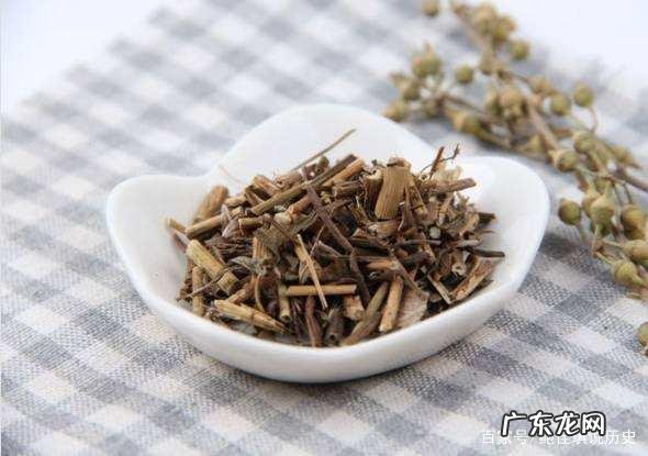 体内湿气太重，导致虚胖，该怎么调理？