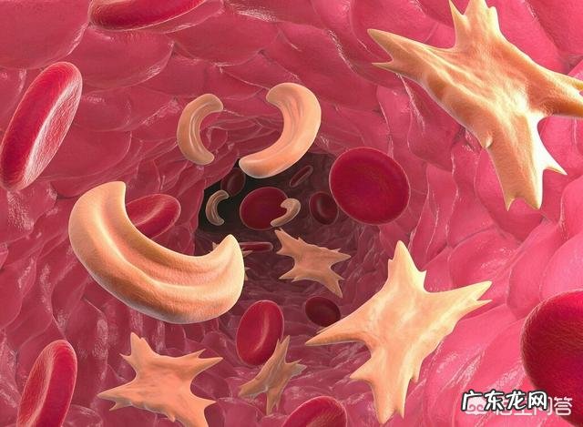 染发后多喝水可以排出毒素么