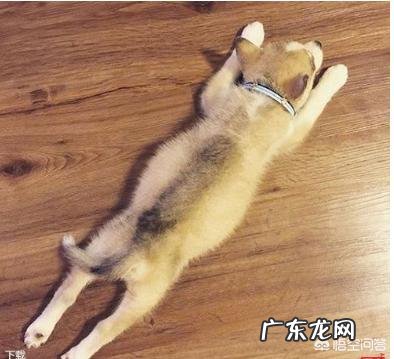 原地跑步真能减肥吗,要注意哪些事项呢?