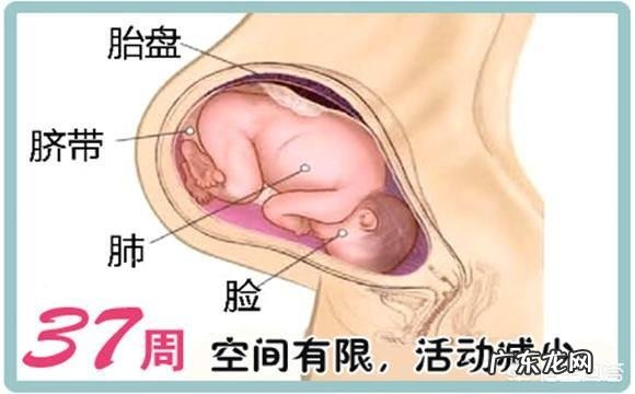 37周+ ，双顶径8.9，孩子大概多少斤？ 37周双顶径8.1大约多少斤
