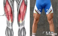 健身车一般锻炼人体什么部位？