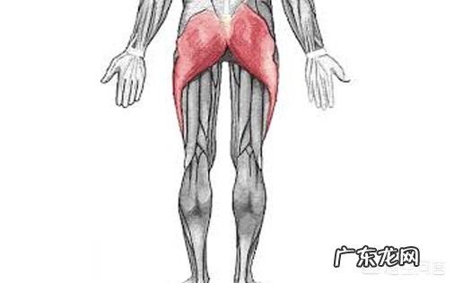 健身车一般锻炼人体什么部位?