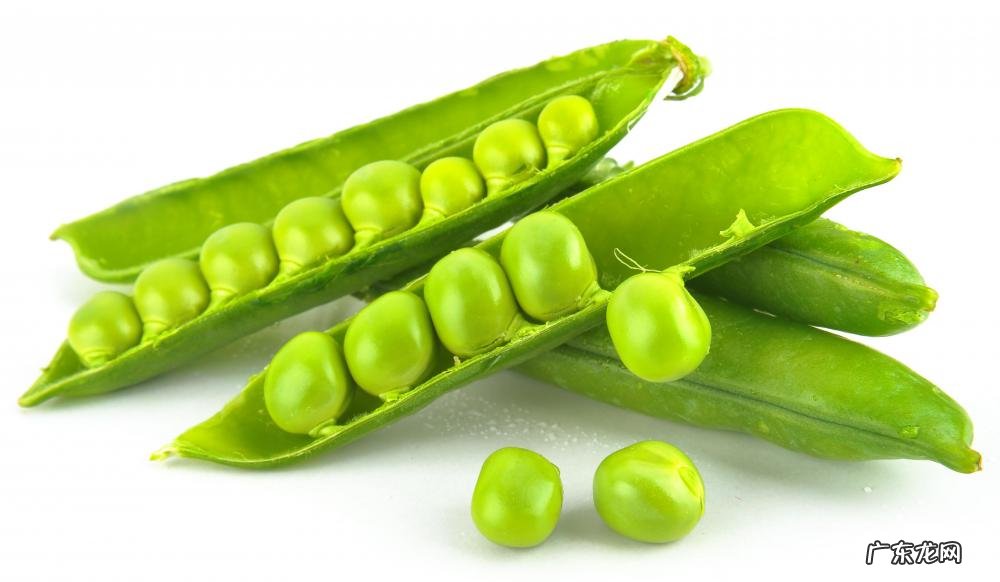 最常见的富含精氨酸的食物是什么？