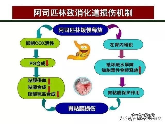 心脏装了支架后,吃双抗出血怎么办?