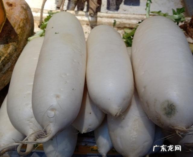 瑶柱和什么食材炖汤才好喝?