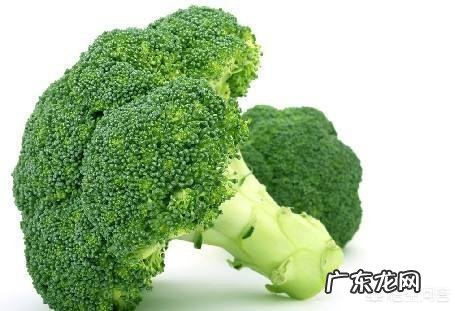 什么菜可以降血脂,可以减肥?