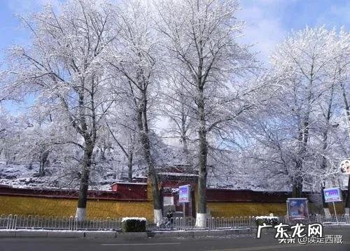 去西藏旅游，身体有什么要求