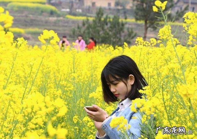 中国菜分几大系各有何特征