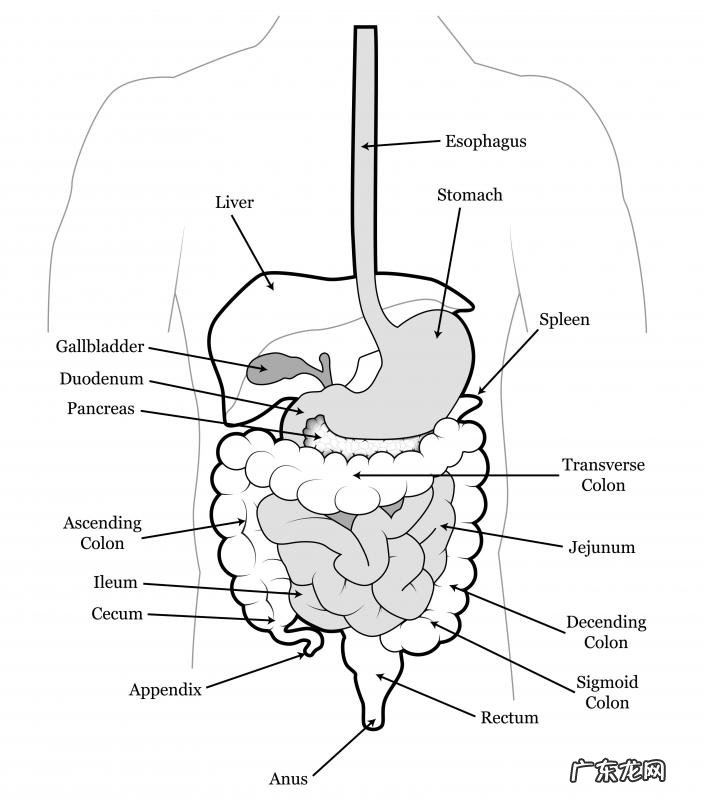 什么是柠檬酸钙？