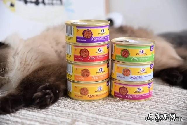 有哪些猫主食罐头值得推荐?