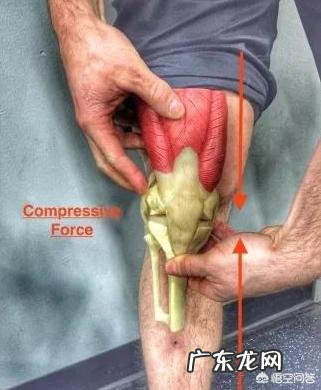 如何在运动时避免膝关节受伤?