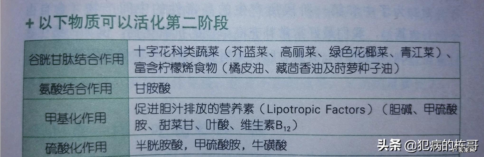 请问有人知道怎么排毒吗? 脸上长痘痘怎么调理排毒祛痘