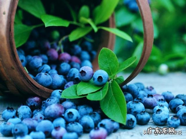 本人上班族一个,如何做到健康饮食?