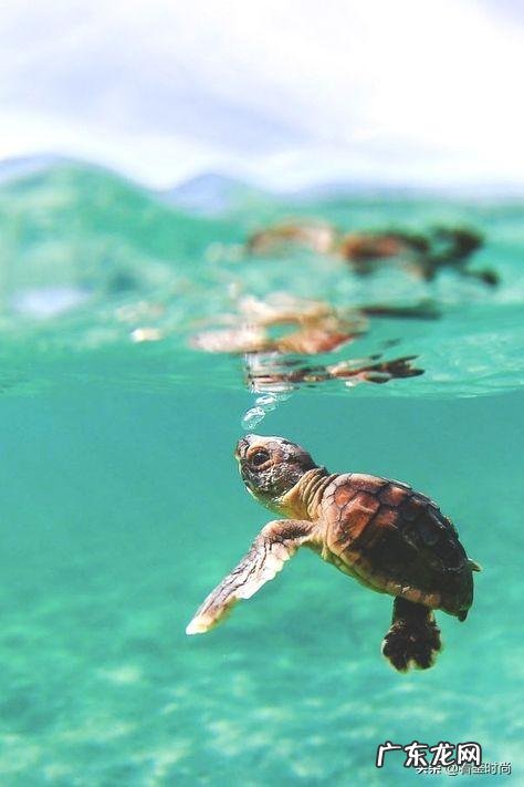 如何让头发长得超快 怎么让头发生长得最快