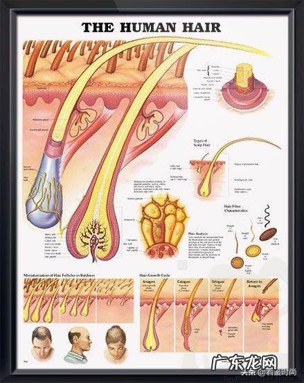 如何让头发长得超快 怎么让头发生长得最快