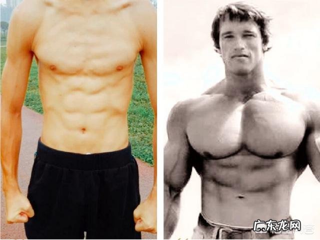 肚子肉多是不是更容易练成八块腹肌
