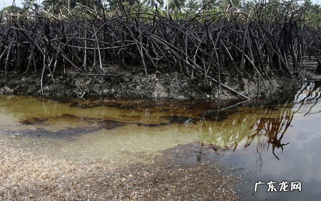 为什么非洲大部分地区不挖井取水喝?