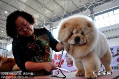 洗发水防脱生发 第一名 用什么洗发水防脱生发