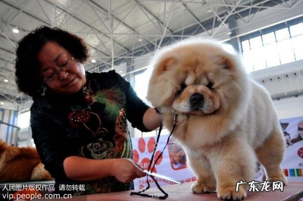 洗发水防脱生发 第一名 用什么洗发水防脱生发