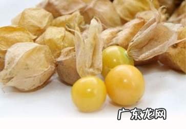 姑娘果图片 姑娘果的营养与功效