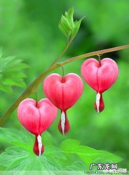 男生和女生眼里,女孩子“好看”的标准是不是不一样