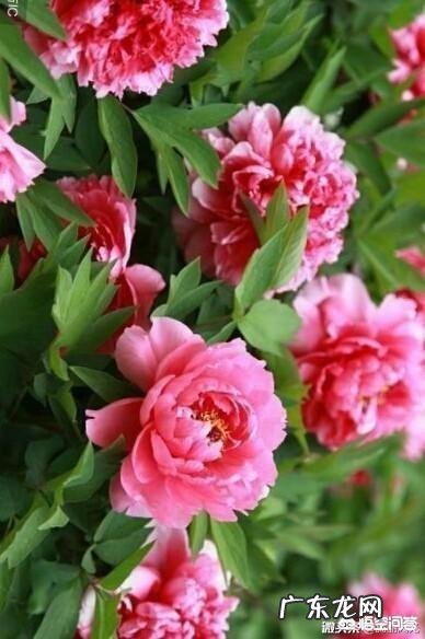 男生和女生眼里,女孩子“好看”的标准是不是不一样