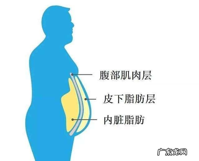 男生该怎么减掉多年的胖肚子？