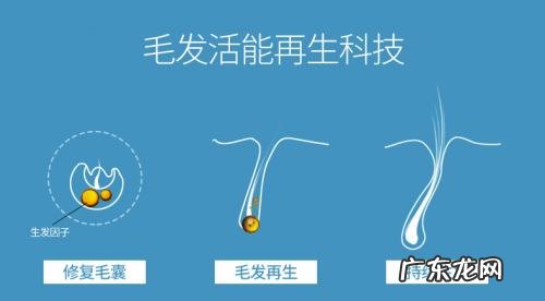 八种方法让头发浓密 有助头发浓密的方法