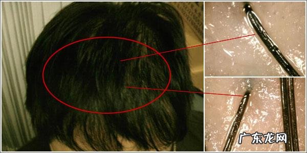 自制洗发水 如何自制生发洗发水