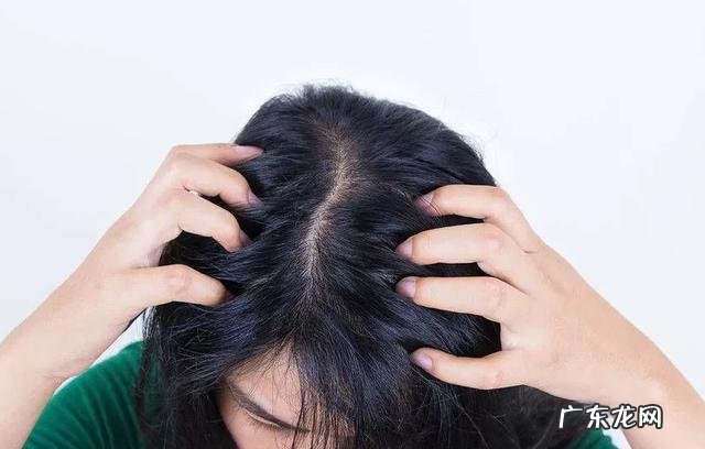 不用洗发水头发变浓密 洗头不用洗发水可以让头发变多吗