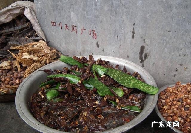 自制皂角洗发水配方 皂角怎样自制洗发水