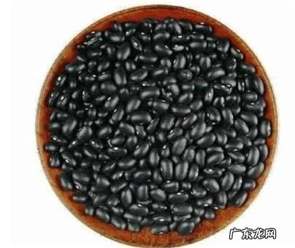 桑叶治脱发大奇效 解决头发脱发的小妙招简单管用