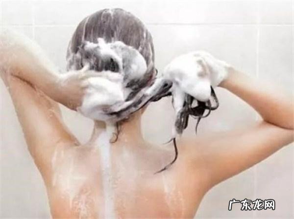 桑叶治脱发大奇效 解决头发脱发的小妙招简单管用