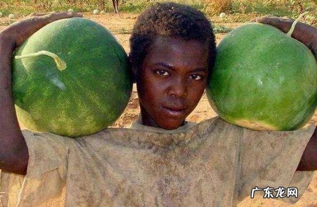 为什么有不能请美国黑人吃西瓜这种说法?