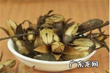 香椿花煮水喝有什么功效 香椿花的作用与功效