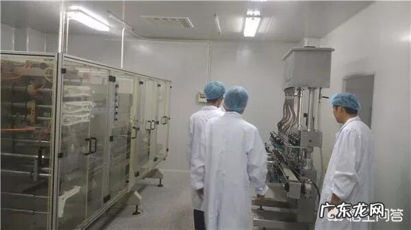 蚂蚁农场大麦青汁孕妇可以喝吗?