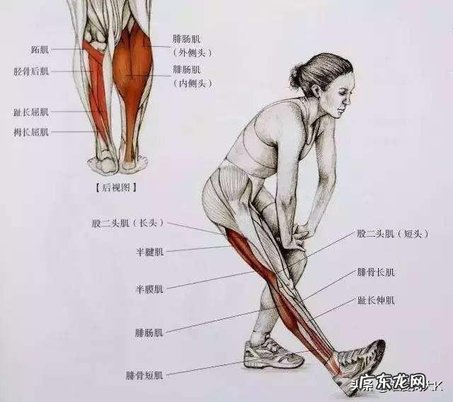 开合跳可以作为跑步前的热身吗? 跑步的正确方法与技巧热身