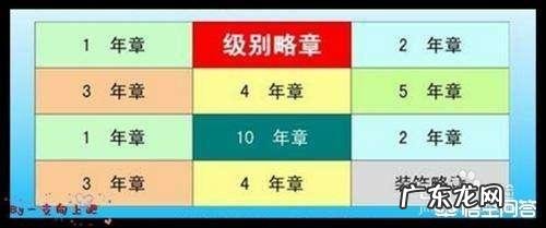 军官右胸上贴着的色块有什么用?