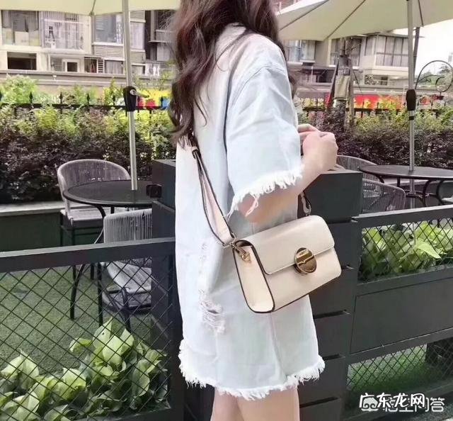 夏天来了,想买一款轻奢侈品包包有没有好看的款式推荐?