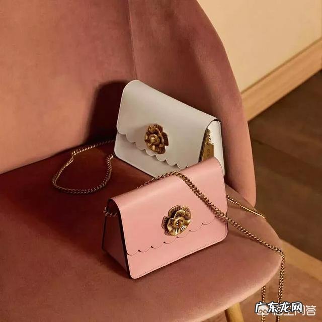 夏天来了,想买一款轻奢侈品包包有没有好看的款式推荐?