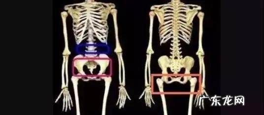 为什么有些女人有宽胯就好看,胯太窄就不好看?