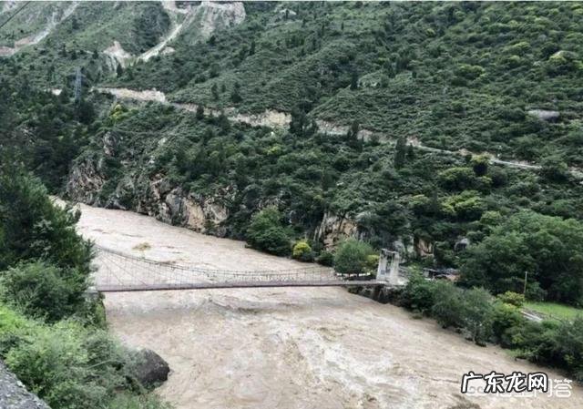 杨丽萍老师现在情况怎么样？