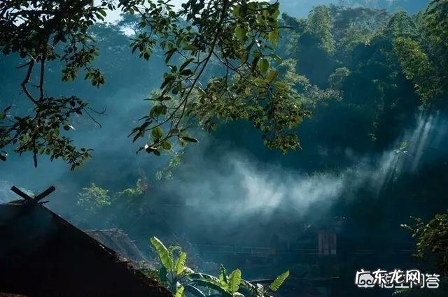 杨丽萍老师现在情况怎么样？