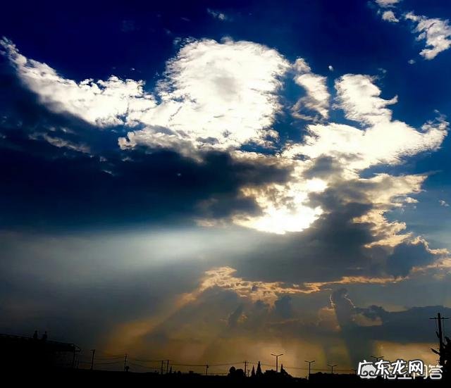 杨丽萍老师现在情况怎么样？